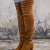 YL En Bloom | Block-Heel Over-the-Knee Velvet Boot Brown Boots