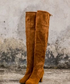 YL En Bloom | Block-Heel Over-the-Knee Velvet Boot Brown Boots