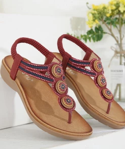 Lobster Slippers Slides - Maibulun